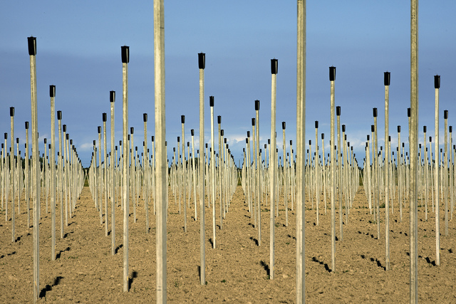 György Gáti, ‘Foil Tent Poles’, 2013, Faur Zsofi Gallery