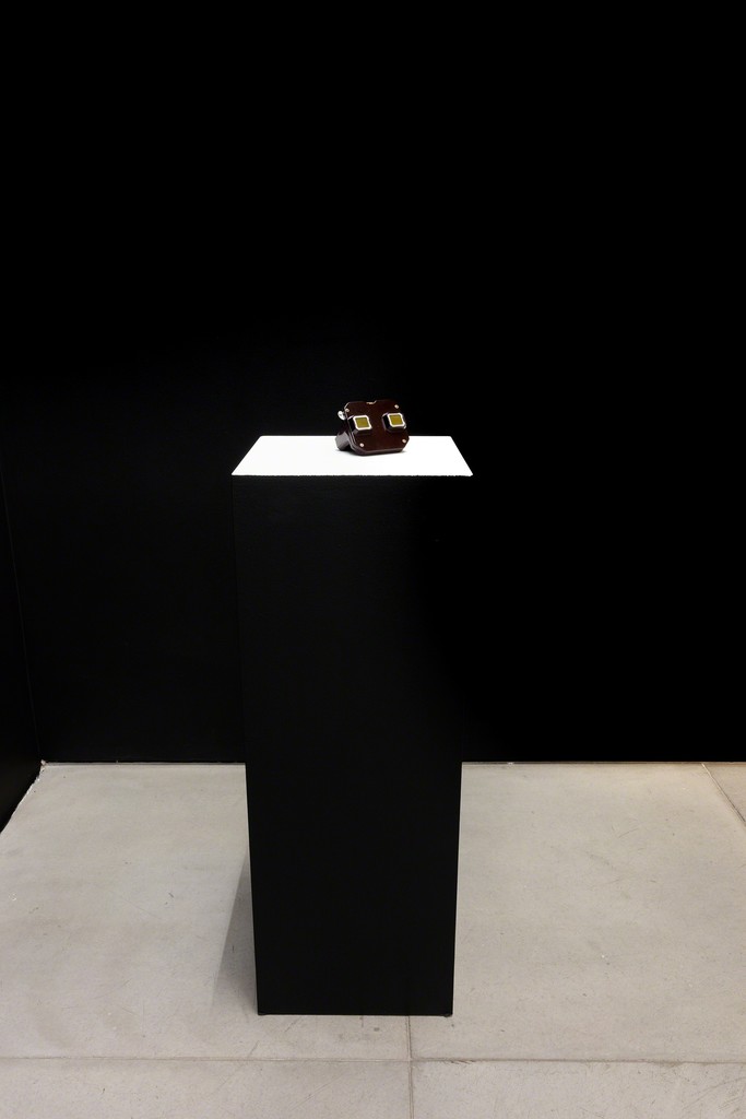 exhibition view -- photo Pat Kilgore © courtesy of the artist and Galeria Nara Roesler exhibition view -- photo Pat Kilgore © courtesy of the artist and Galeria Nara Roesler