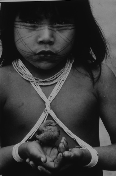 Mirella Ricciardi, ‘Little Marubo Girl and Pet Tree Sparrow’, 1965-1970, Photography, Platinum Print, Bernheimer Fine Art