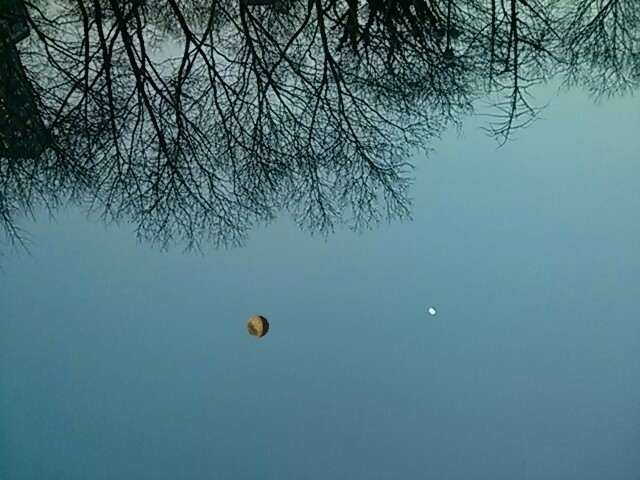 SERKAN ÖZKAYA, ‘MyMoon’, 2015, Postmasters Gallery