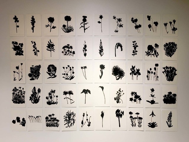 Jorge Rios, ‘Bloomsday’, 109, Drawing, Collage or other Work on Paper, Oil stick on Arches paper, Pan American Art Projects