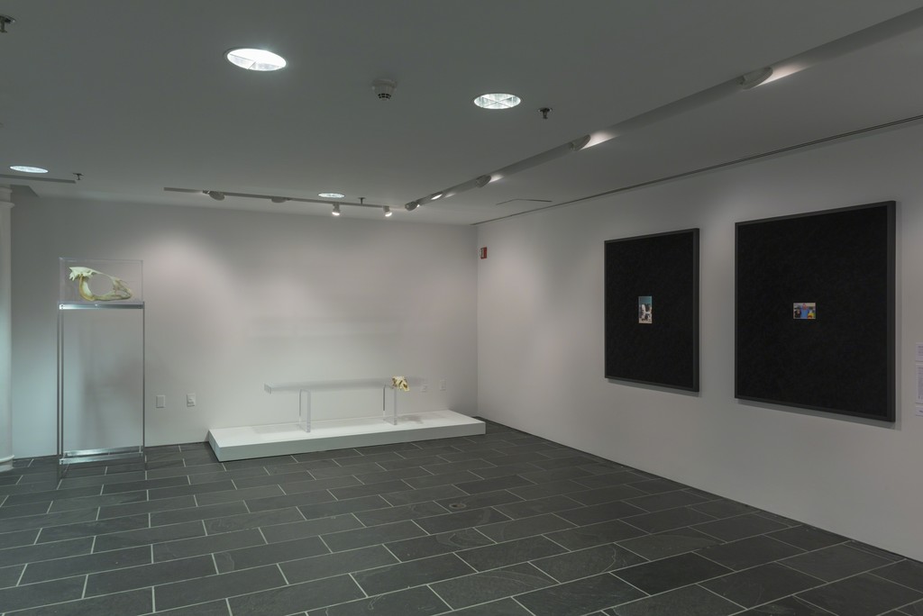 Fictions (installation view), The Studio Museum in Harlem, September 14, 2017–January 7, 2018. Photo: Adam Reich Fictions (installation view), The Studio Museum in Harlem, September 14, 2017–January 7, 2018. Photo: Adam Reich
