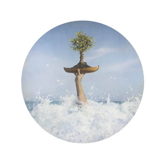 Kahn & Selesnick, ‘Bonsai’, Yancey Richardson Gallery