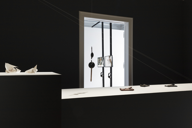 Pedro Gómez-Egaña, ‘The Common Ancestor’, 2018, Installation, Zilberman Gallery