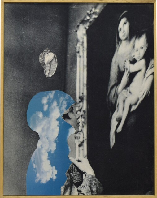 Vexillum