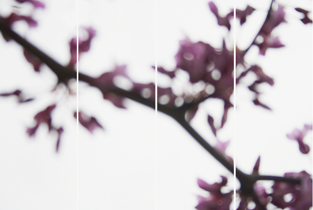 Jeri Eisenberg, ‘Red Bud No. 3’, 2008, Carrie Haddad Gallery