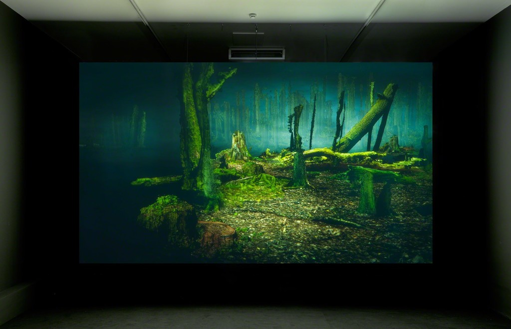Installationshot Broersen & Lukács of 'Forest on Location' @ Art Rotterdam Projections, photo Gert J. v. Rooij Installationshot Broersen & Lukács of 'Forest on Location' @ Art Rotterdam Projections, photo Gert J. v. Rooij
