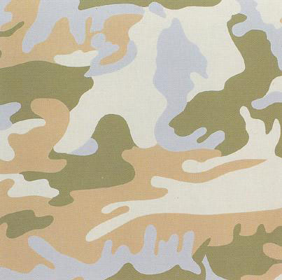 Andy Warhol, ‘Camouflage (FS II.407)’, 1986, Print, Silkscreen on Lenox Museum Board, Taglialatella Galleries