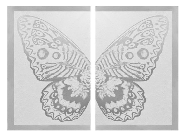 Rubem Robierb, ‘Hybrid Silver Butterfly on White ’, 2016, Taglialatella Galleries