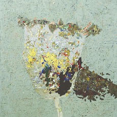 Chen Wenguang