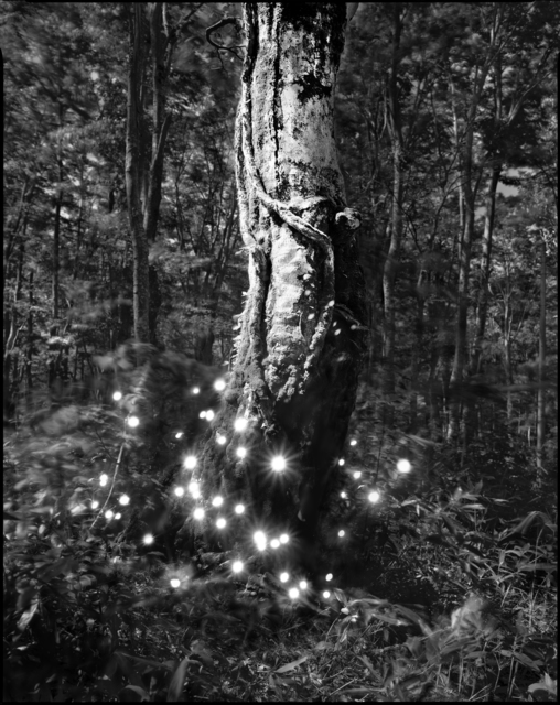 Tokihiro Sato, ‘Hakkoda #2’, 2009, Micheko Galerie