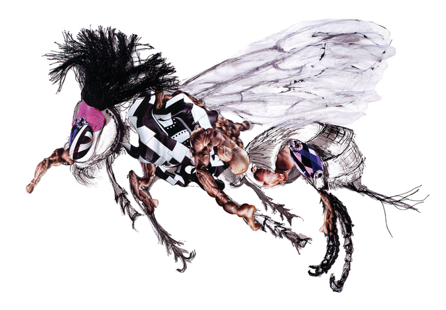 Dominique Paul, ‘Macropis Cuckoo Bee ’, 2019, Photography, Archival pigment print on Hahnemühle Photo Rag, MIYAKO YOSHINAGA