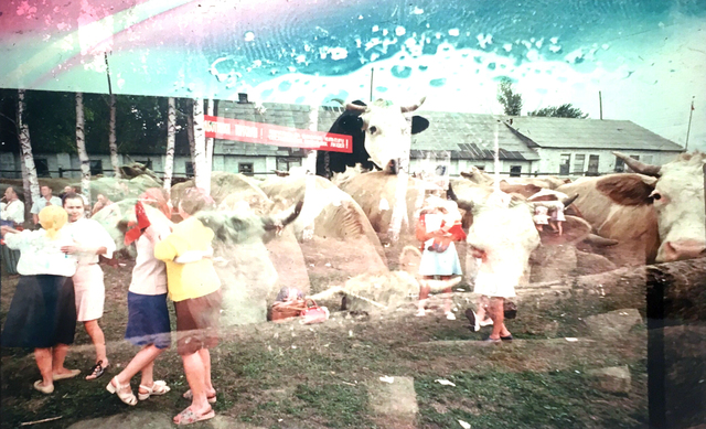 Boris Mikhailov, ‘Untitled from the series ‘Yesterday’s Sandwich’’, 1966-1968, Suzanne Tarasieve