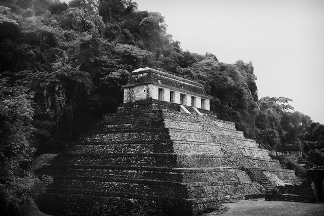 William Frej, ‘Palenque’, 2015, Peyton Wright Gallery