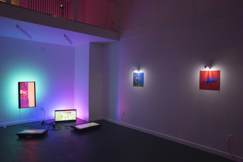 Paula Morales, installation view, 2017 Paula Morales, installation view, 2017