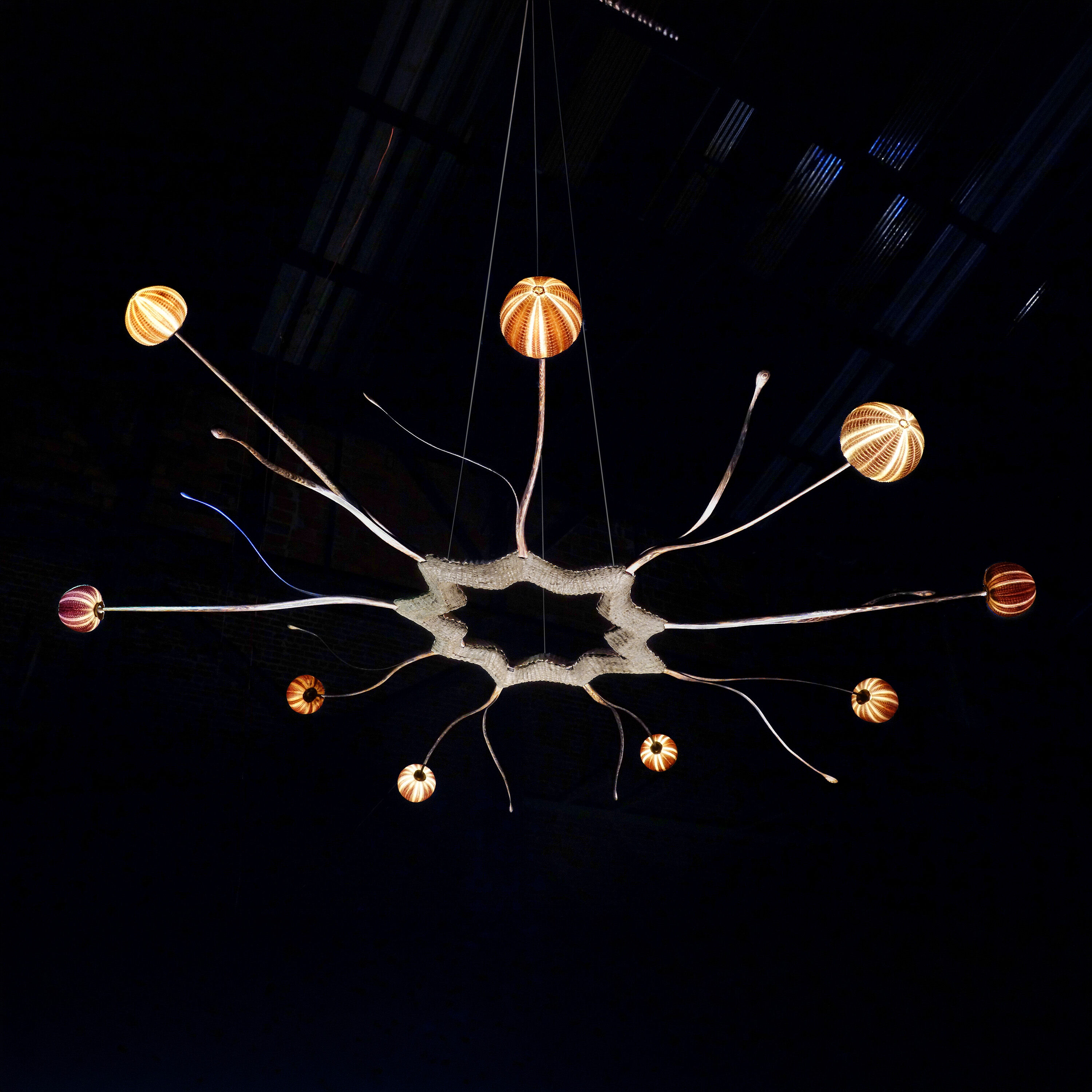 Nicolas Cesbron: Sea Urchin Lights | Artsy