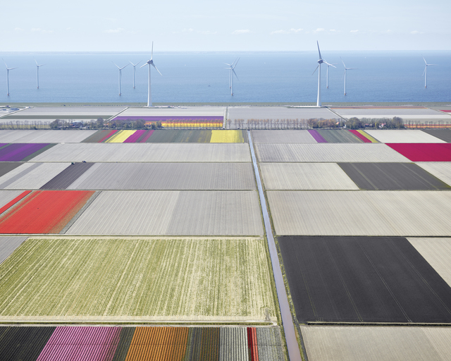 David Burdeny, ‘Tulips and Turbines 2, Noordoostpolder, Netherlands’, 2016, Gilman Contemporary