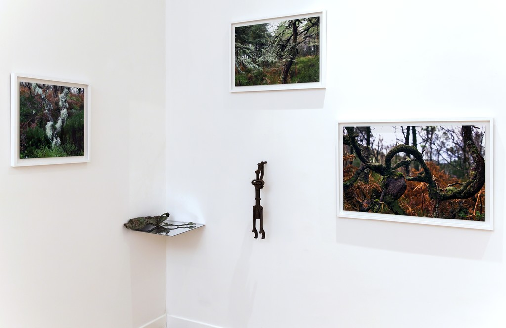 Installation view: Elaine Byrne, "La Diritta Via" Installation view: Elaine Byrne, "La Diritta Via"