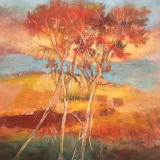 Thomas Yeo
