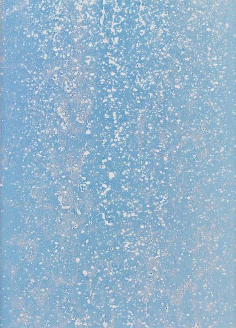 Adam Fuss, ‘UNTITLED’, 2017, Cheim & Read