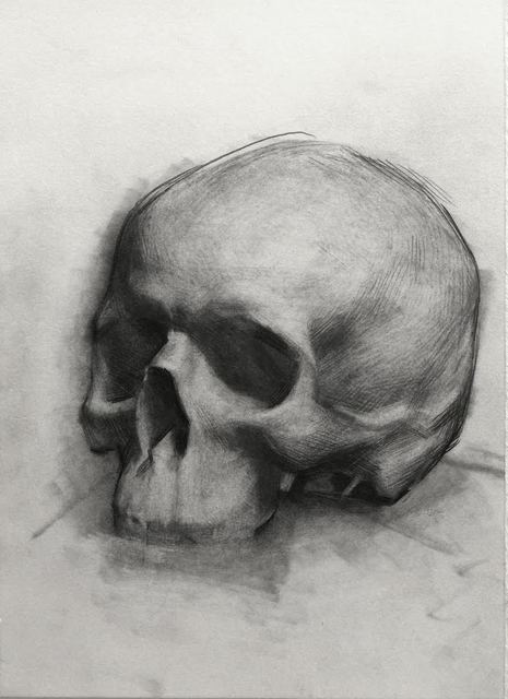 Evan Kitson, ‘Skull Study’, 2018, IX Gallery