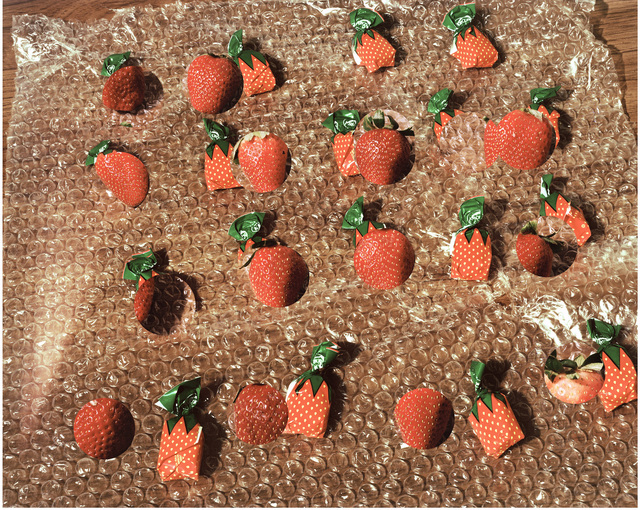 Lucas Blalock, ‘Strawberries (fresh forever)’, 2014, The Museum of Modern Art