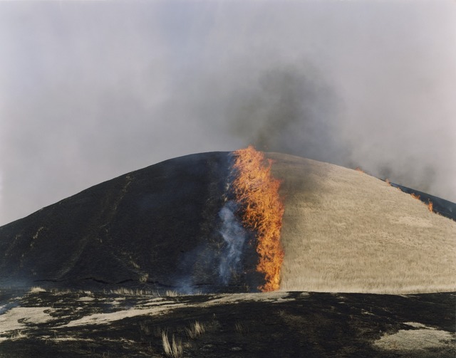 Rinko Kawauchi, ‘Untitled, from the series Ametsuchi’, 2012, ROSEGALLERY