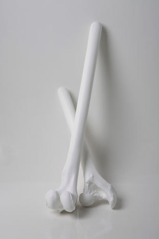 Bevan Ramsay, ‘Bone China #11’, 2009, Art Mûr