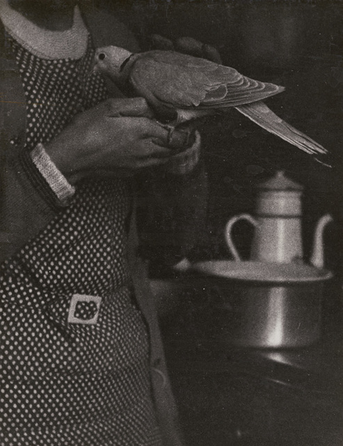 Roger Parry, ‘Woman, Dove and Stove’, 1929, 39 / 1929, 30, Photography, Silver print on original mount, Contemporary Works/Vintage Works