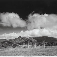 Clyde Butcher