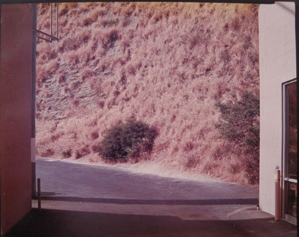 Stephen Shore, ‘Alley Off Sunset Strip, Hollywood, CA’, 1975, Jackson Fine Art