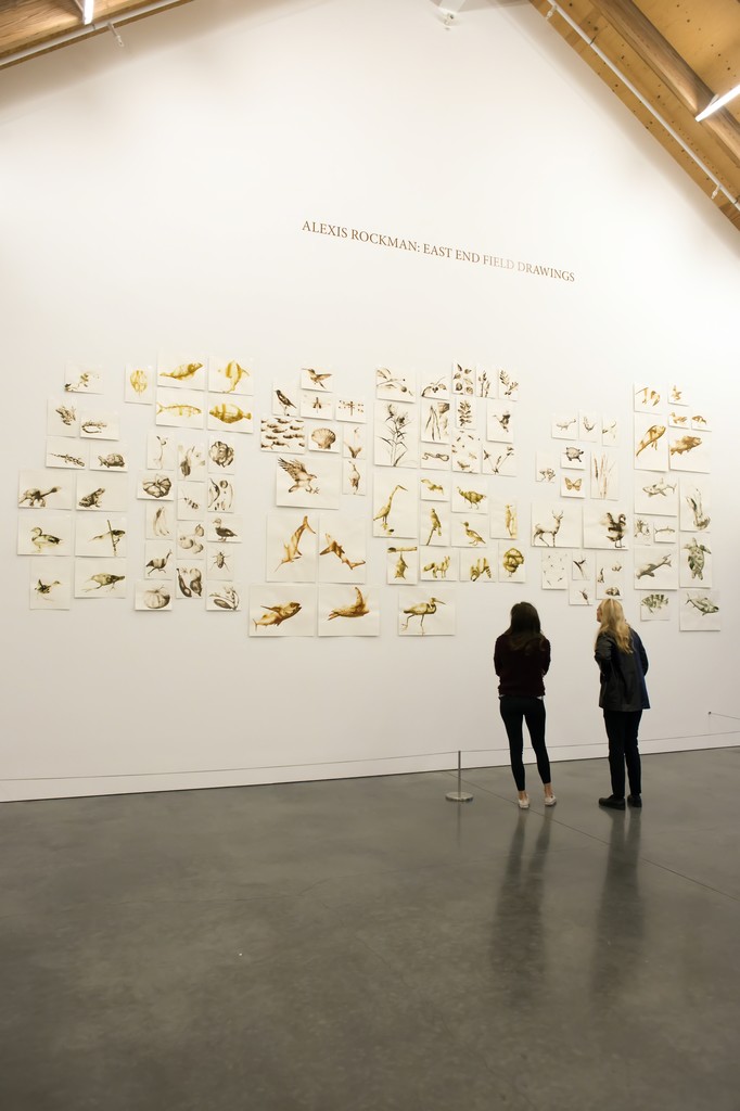 Installation view of "Alexis Rockman: East End Field Drawings" on view at the Parrish Art Museum, Water Mill, New York through January 18, 2016. Photo: Daniel Gonzalez Installation view of "Alexis Rockman: East End Field Drawings" on view at the Parrish Art Museum, Water Mill, New York through January 18, 2016. Photo: Daniel Gonzalez