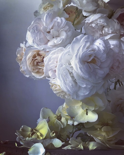 Nick Knight, ‘Sunday 4th June, 2017’, 2017, Photography, Hand-coated pigment print, 2019, Grob Gallery