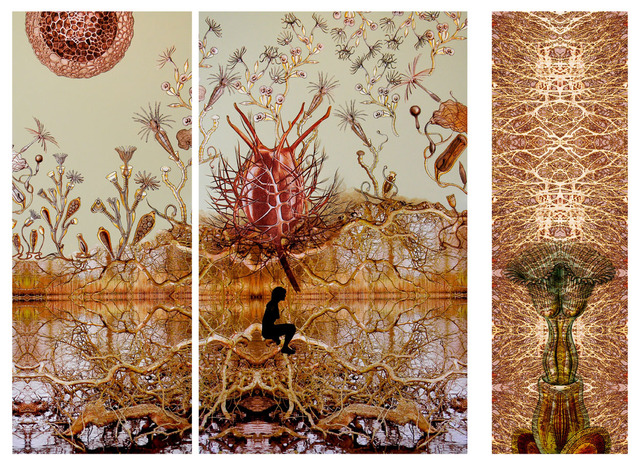 Sonia Mehra Chawla, ‘Embryonic Plant, Hyperbloom’, 2013, Mixed Media, Mixed media on archival canvas, Exhibit 320