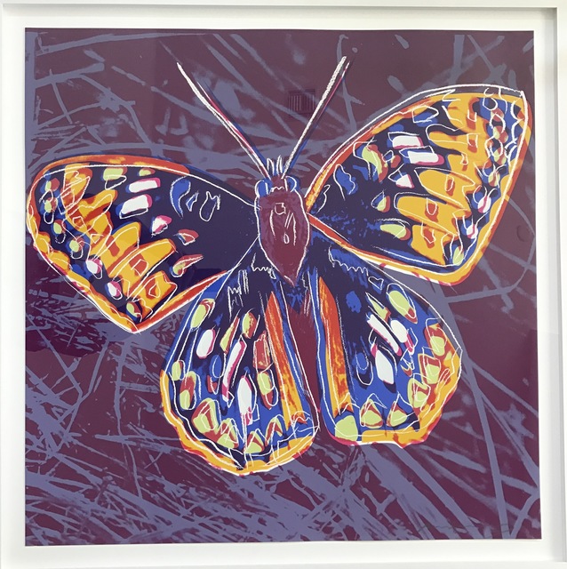 Andy Warhol, ‘San Francisco Silverspot, Endangered Species F&S II.298’, 1983, Print, Screenprint on Lenox Museum Board, Fine Art Mia