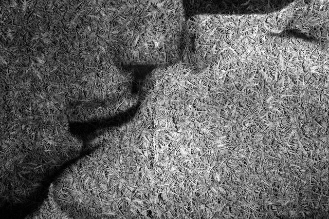 Eitan Vitkon, ‘The Kiss, Thorn Series’, 2014, Corridor Contemporary