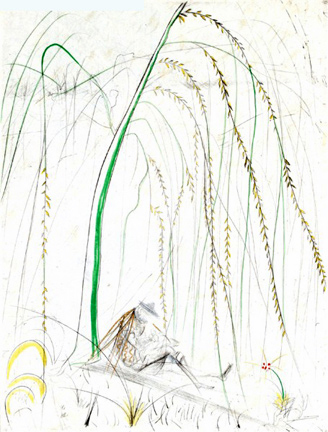 Salvador Dalí, ‘Le Saule Pleurer (Weeping Willow)’, 1968, Puccio Fine Art