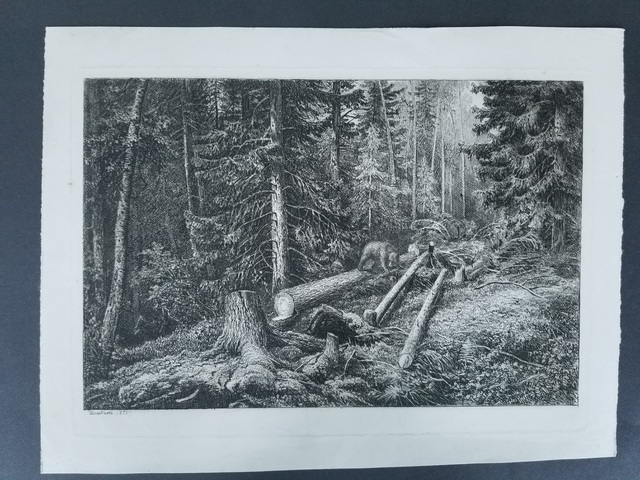 Ivan Shishkin, ‘Bea in the forest’, 1873, Other, Etching, Level1 Gallery