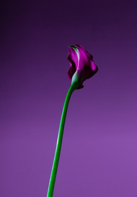 Takamitsu Sakamoto, ‘No. 29’, 2012, MvVO ART