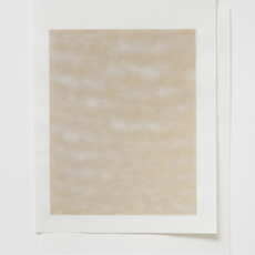 Emilia Tanner