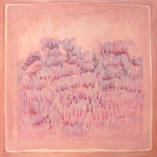 Nicolene Burger
