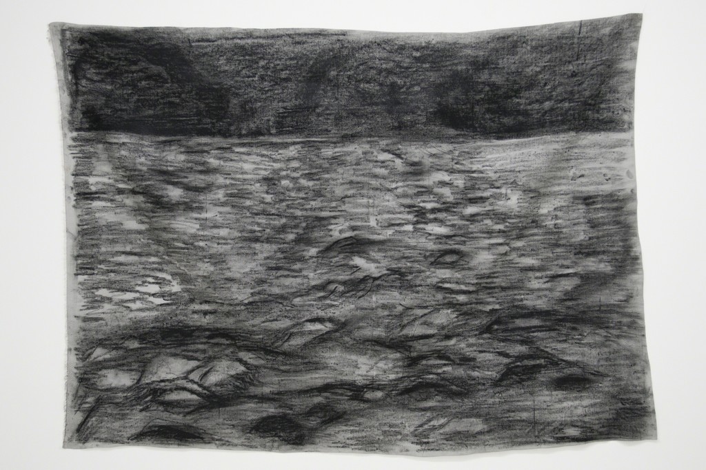 Ana María Millán — Untitled (2014) Ana María Millán — Untitled (2014)