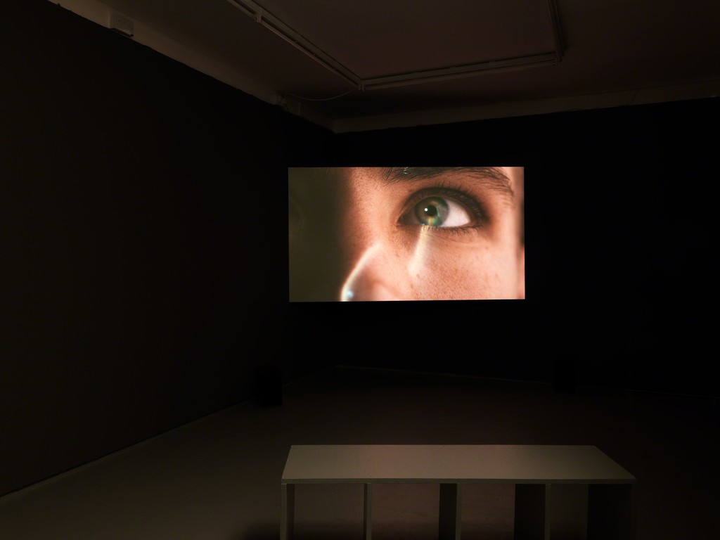 Install shot, Ilona Sagar, 'Haptic Skins of a Glass Eye', 2015, Tenderpixel. Photo by Original&theCopy.
Courtesy of the artist and Tenderpixel. Install shot, Ilona Sagar, 'Haptic Skins of a Glass Eye', 2015, Tenderpixel. Photo by Original&theCopy.
Courtesy of the artist and Tenderpixel.