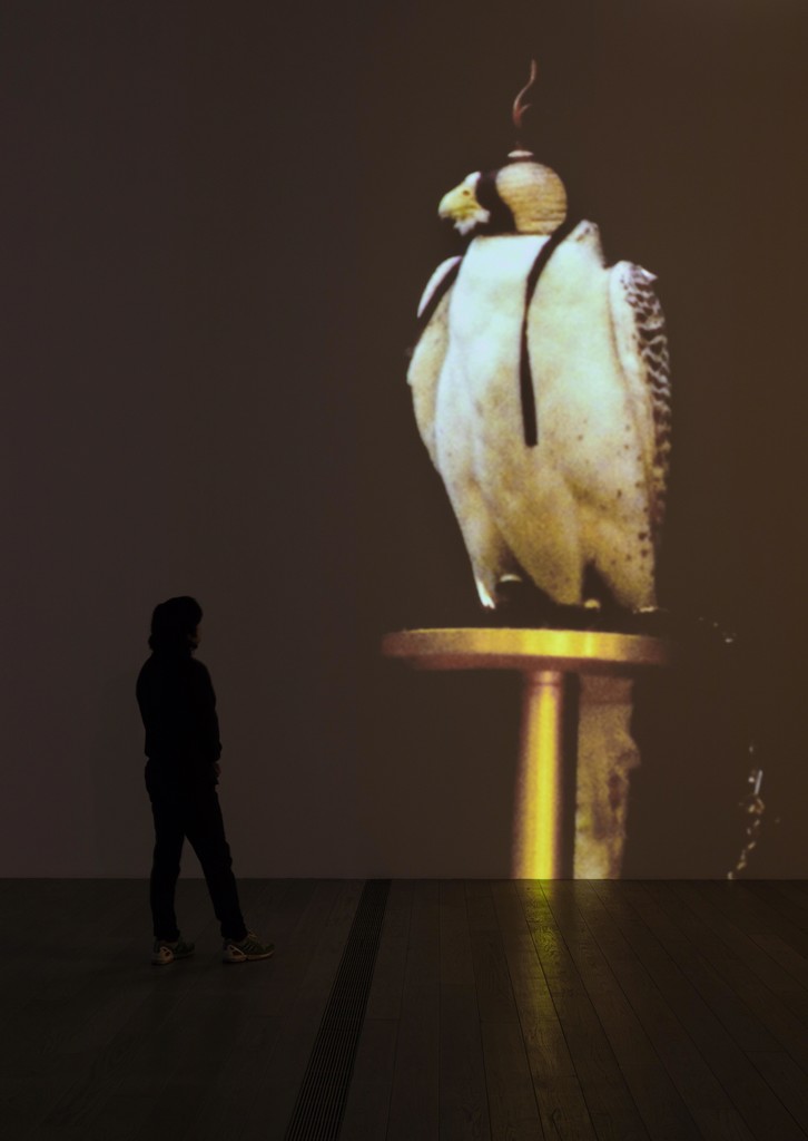 Installation photograph, "Diana Theater: The Sympathetic Imagination," Los Angeles County Museum of Art, November 22, 2015 - February 21, 2016. Courtesy of Diana Thater. Photo: Fredrik Nilsen. Installation photograph, "Diana Theater: The Sympathetic Imagination," Los Angeles County Museum of Art, November 22, 2015 - February 21, 2016. Courtesy of Diana Thater. Photo: Fredrik Nilsen.