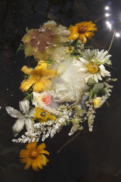 Mary Kocol, ‘Yellow Garden Ice Plate Melting in the Lake (from the Ghost Garden Series)’, 2014, Gallery NAGA