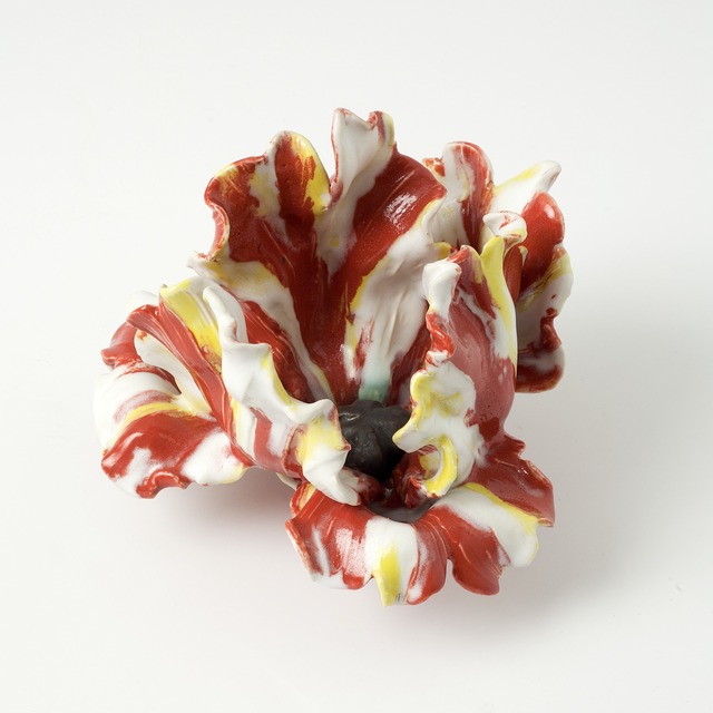 Matthew Solomon, ‘Tulip’, 2013, Maison Gerard