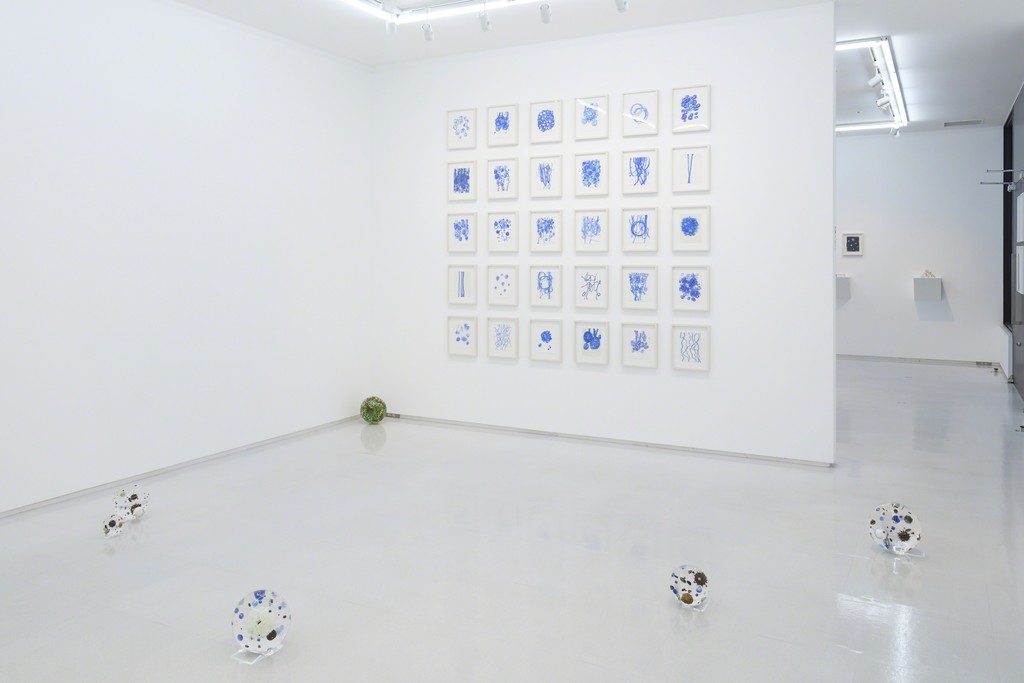 Installation view from “A Cosmology from Forest” 8/ ART GALLERY/ Tomio Koyama Gallery, 2017 ©Satoshi Hirose, photo by Kenji Takahashi Installation view from “A Cosmology from Forest” 8/ ART GALLERY/ Tomio Koyama Gallery, 2017 ©Satoshi Hirose, photo by Kenji Takahashi