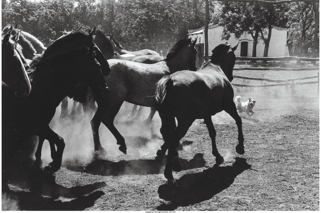 Elliott Erwitt, ‘Untitled, Argentina from Son of a Bitch’, 1972, Heritage Auctions