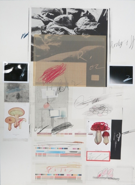Cy Twombly | Natural History, Part I: Mushrooms, no. X (1974 ...