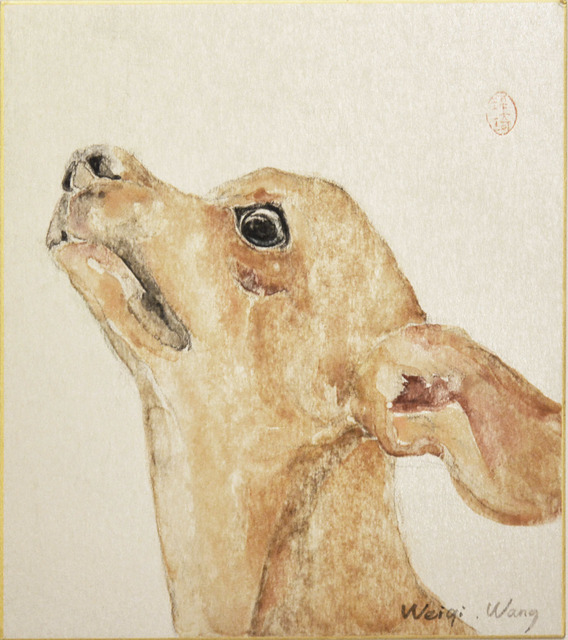 Weiqi Wang, ‘Please’, 2014, Ronin Gallery
